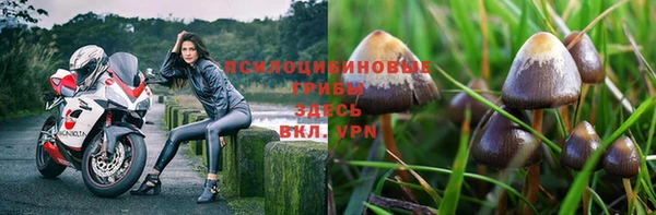 эйфоретик Алексин