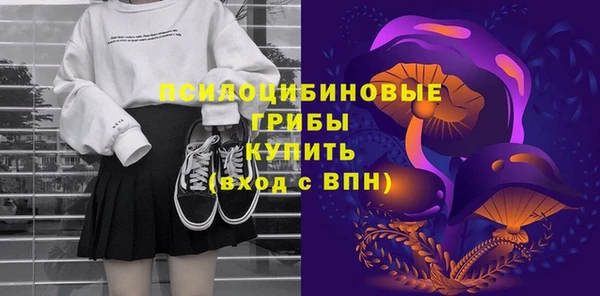 эйфоретик Алексин